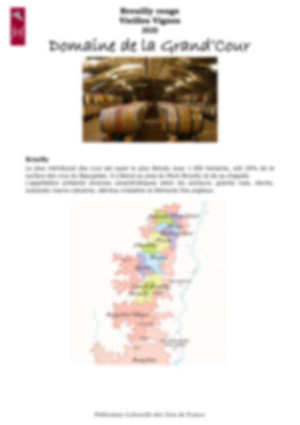 Fiche de dégustation Brouilly rouge Vieilles Vignes 2020 Domaine de la Grand’Cour