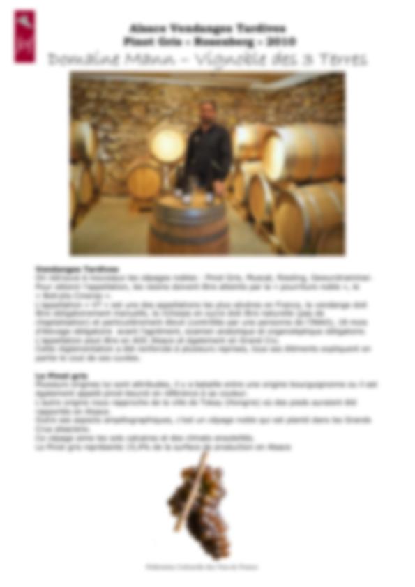 Fiche de dégustation Alsace Vendanges Tardives Pinot Gris « Rosenberg » 2010 Domaine Mann Vignoble des 3 Terres