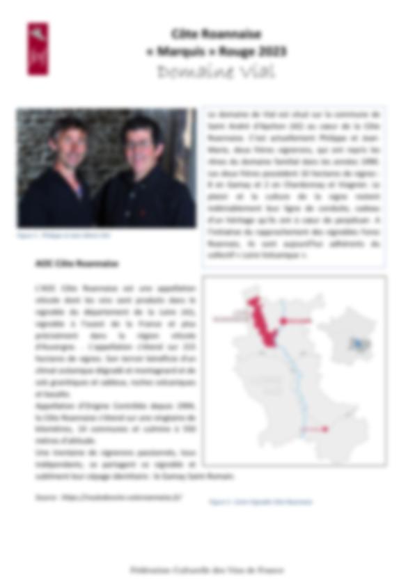 Fiche de dégustation Domaine Vial