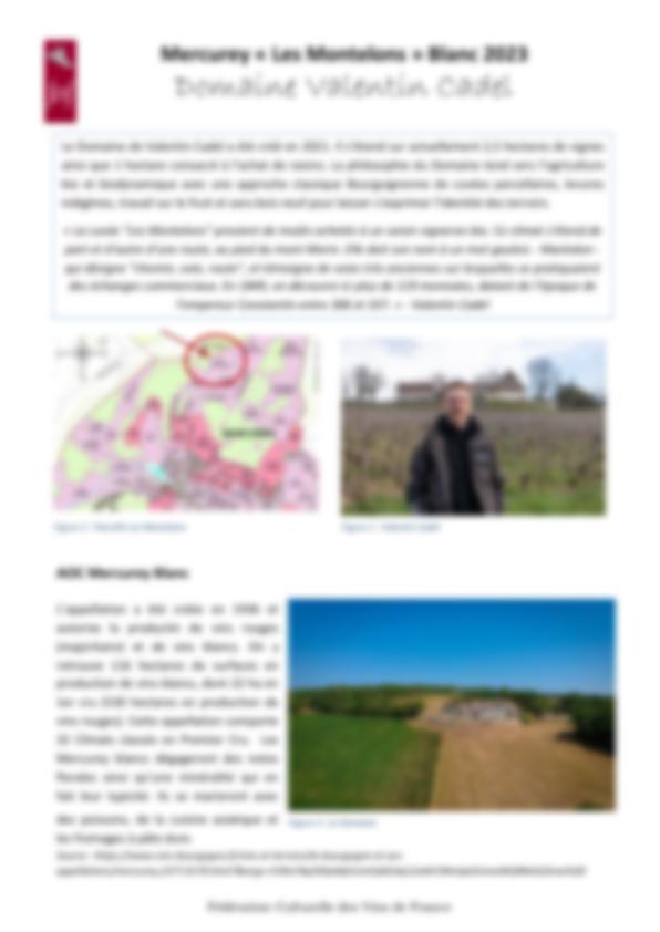 Fiche de dégustation Domaine la Tour Saint Hilaire