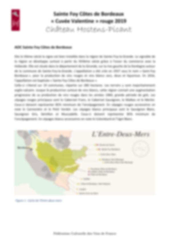 Fiche de dégustation Château Hostens Picant