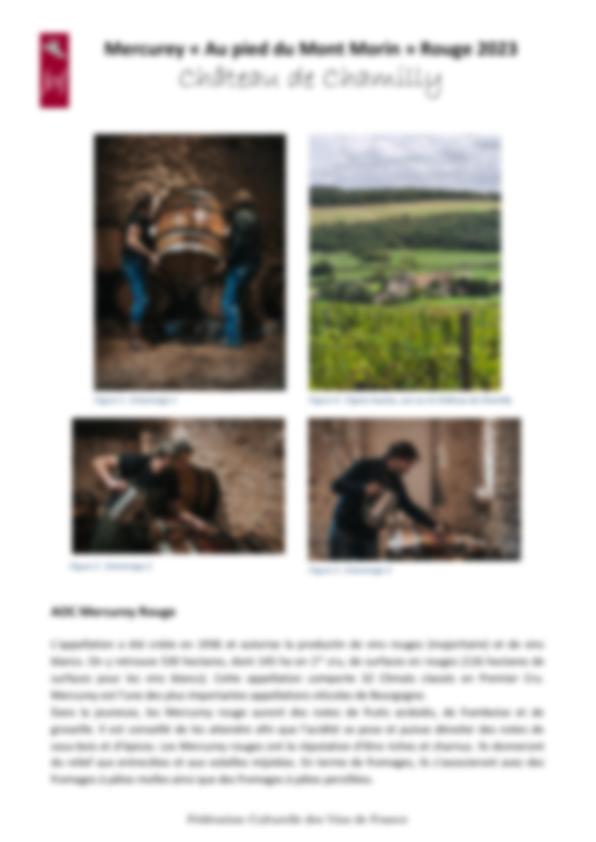 Fiche de dégustation Château de Chamilly