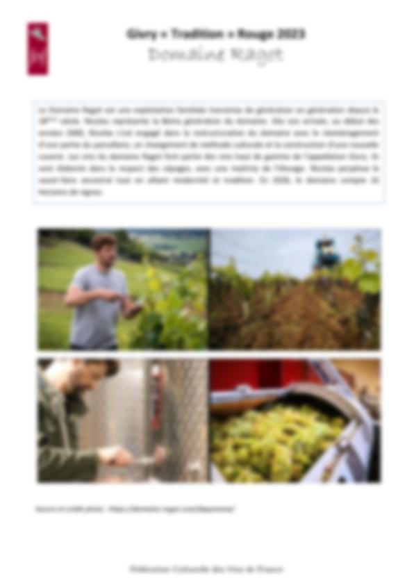 Fiche de dégustation Domaine Ragot