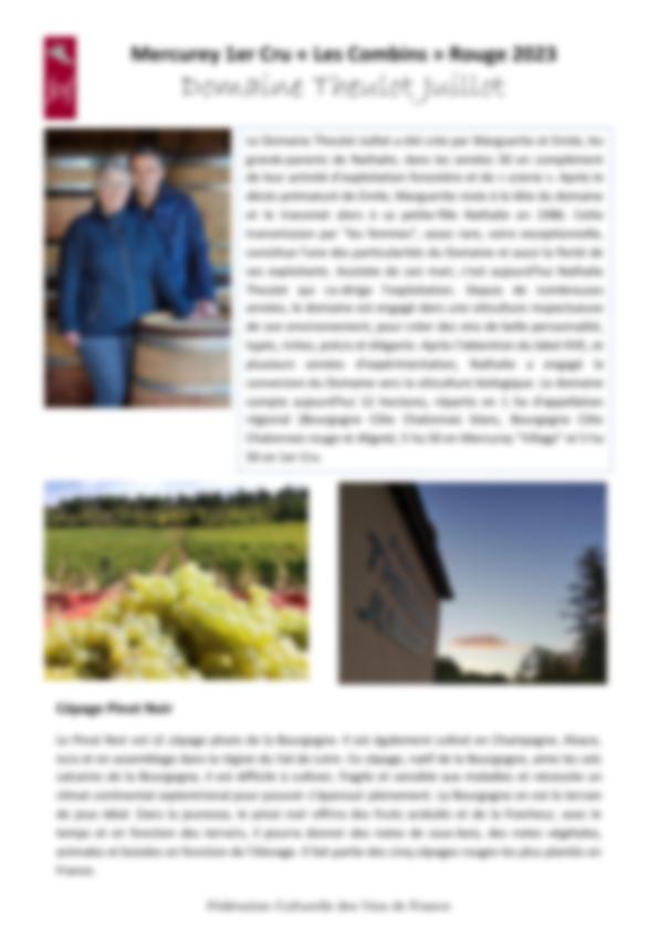 Fiche de dégustation Domaine Theulot