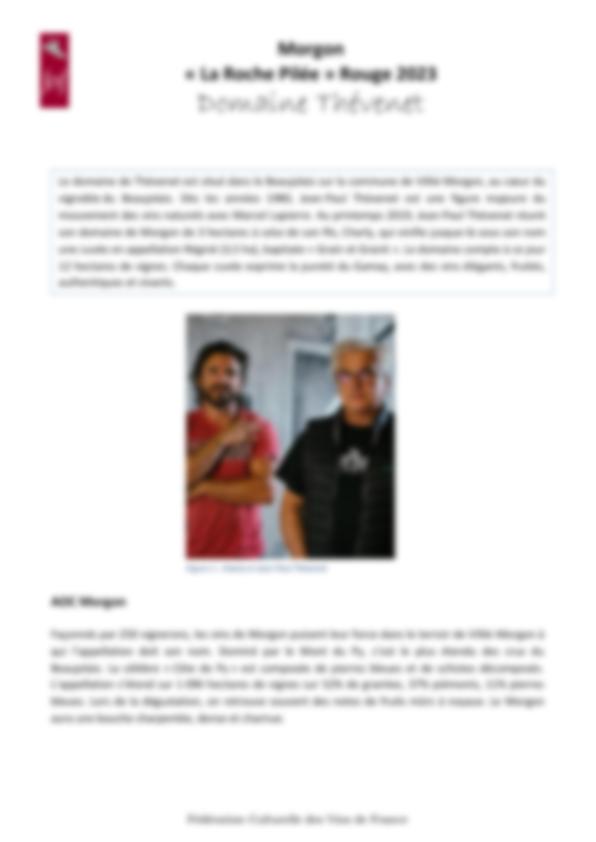 Fiche de dégustation Domaine Thévenet