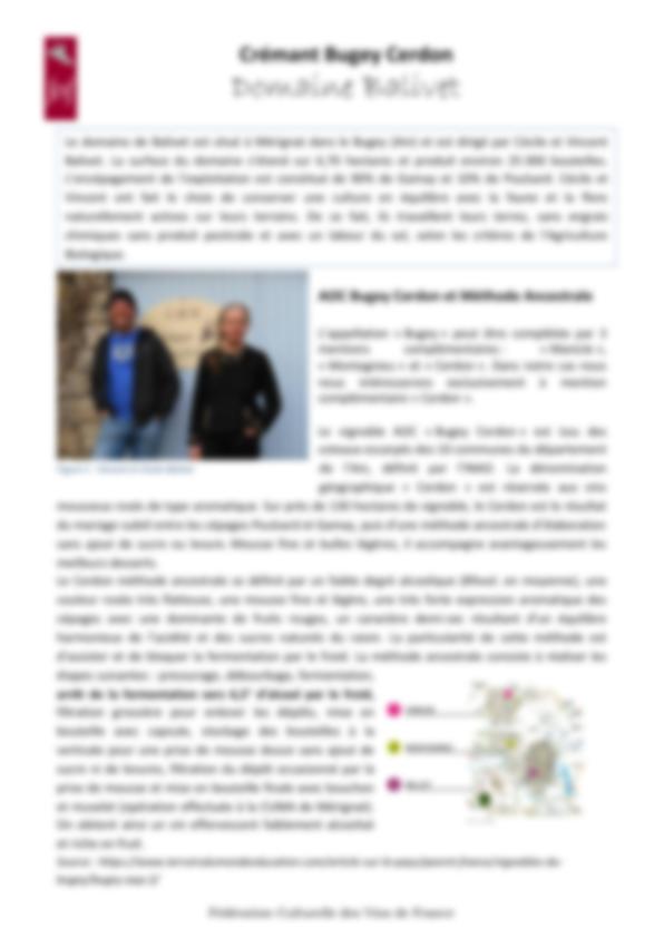 Fiche de dégustation Domaine Balivet